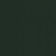 Encore PVC - Forest