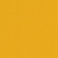 Encore PVC - Lemon Twist