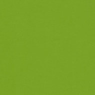 Encore PVC - Lime