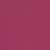 Ultimate PVC - Raspberry