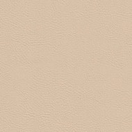 Ultimate PVC - Stucco